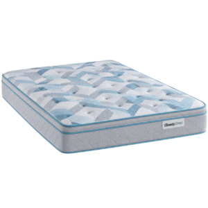 ERICA LUXURY MEDIUM FIRM PILLOW TOP 2½ PLZ (2026)